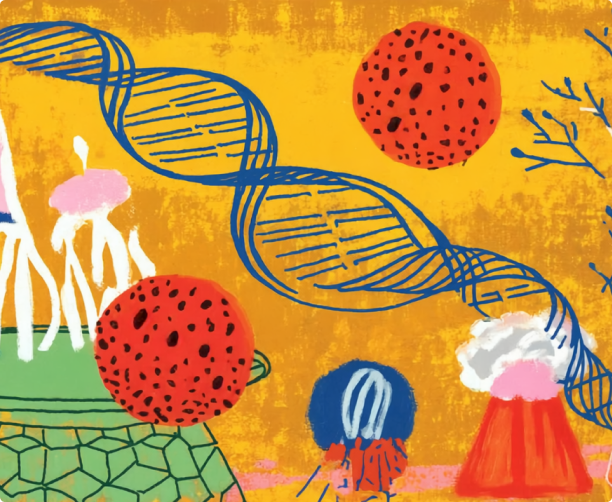 Analyzed the Human Genome to Save Lives with Genie